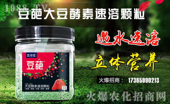 【豆本豆生化】祝大家在新的一年里幸福美滿,闔家歡樂!