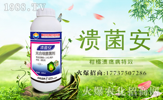 【吉裕農(nóng)業(yè)】祝大家在新的一年力身體健康,萬事如意!