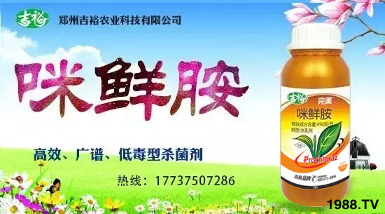 【吉裕農(nóng)業(yè)】祝大家在新的一年力身體健康,萬事如意!