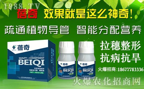 vSr(nng)I(y)ףµһؔԴLLd