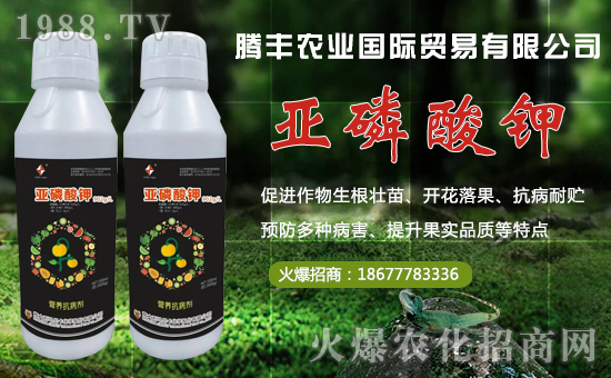 vSr(nng)I(y)ףµһؔԴLLd