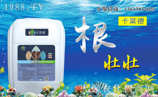 【卡萊德農(nóng)業(yè)】全體員工恭祝全國經(jīng)銷商身體健康,萬事如意!