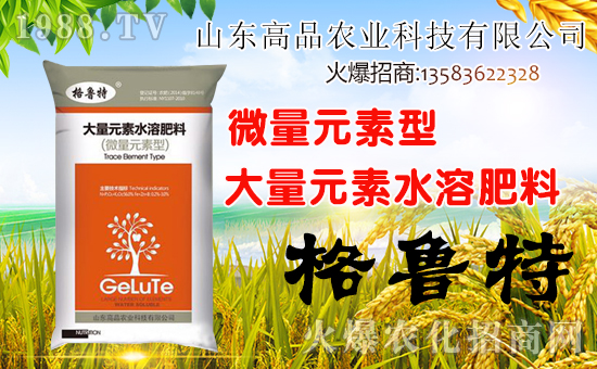 【山東高品】給大家拜年啦!祝您財(cái)源廣進(jìn),心想事成,萬(wàn)事如意!