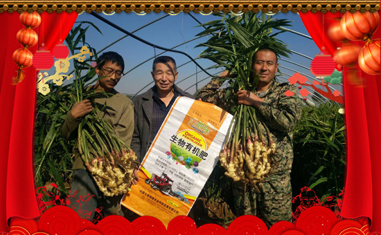 機緣,在合作中生根;情意,在合作中加深;事業(yè),在合作中壯大;夢想,在合作中騰飛!值此新春佳節(jié)來臨之際,內(nèi)蒙古金地隆農(nóng)業(yè)科技發(fā)展有限公祝愿各位經(jīng)銷商朋友:身體健康,財源廣進(jìn),萬事順順順!