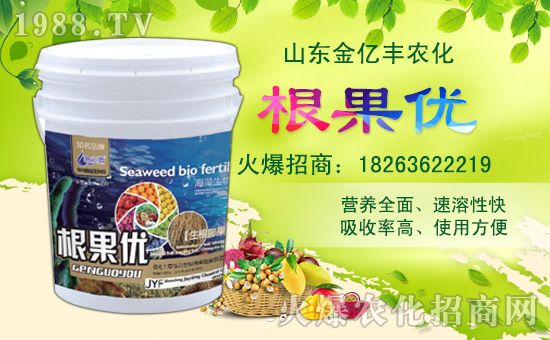 【金億豐】祝全國朋友,新年快樂,豬年大吉,身體健康,財(cái)源廣進(jìn)