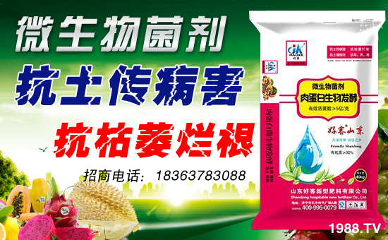 【山東好客】祝新老朋友身體健康,萬(wàn)事如意!