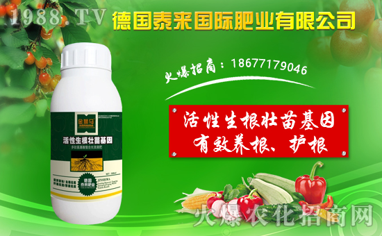 ̩Hףµһؔ(ci)\(yn)LLd