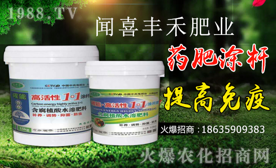 ϲS̡ף옷i꼪