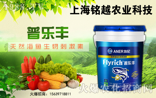 Խr(nng)I(y)ףµһؔ(ci)\(yn)LL