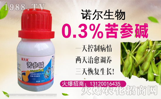 ZȫwTףȫ(gu)(jng)Nwi꼪飡