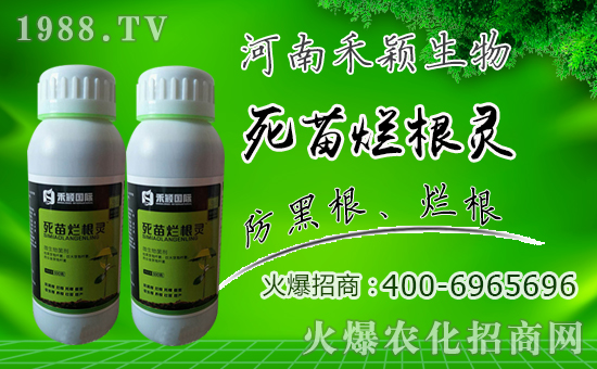 ̷fףµһd¡f