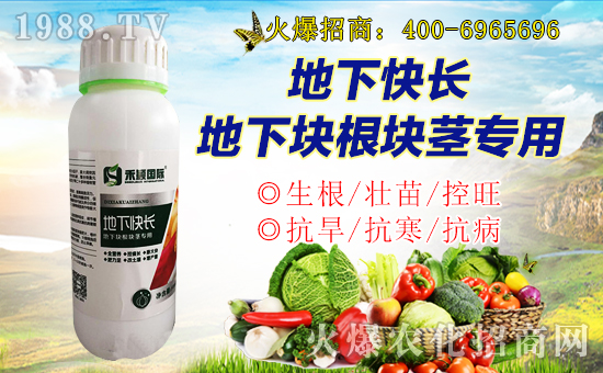 ̷fףµһd¡f⣡