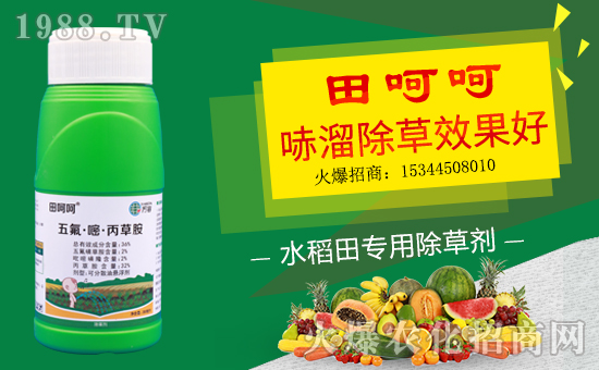 【德國萬容】恭祝新老客戶豬年行大運(yùn),財(cái)源滾滾來!