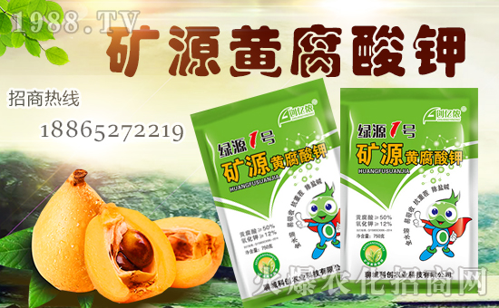 【科創(chuàng)農(nóng)業(yè)】全體員工恭祝全國(guó)經(jīng)銷商身體健康,豬年行大運(yùn)!