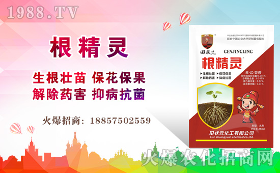 【田狀元化工】祝全國經(jīng)銷商豬年大吉,萬事如意!
