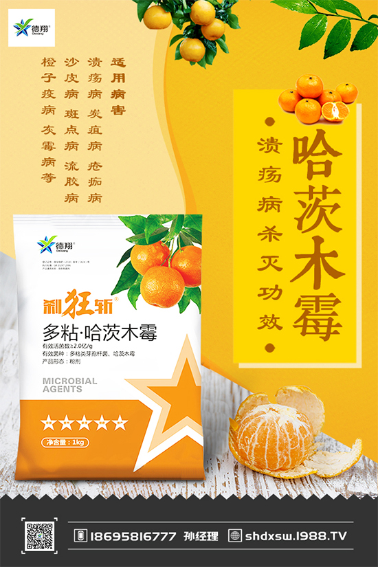 {(ln)ڰ߲Σ@ô󣬵ԓηɣ