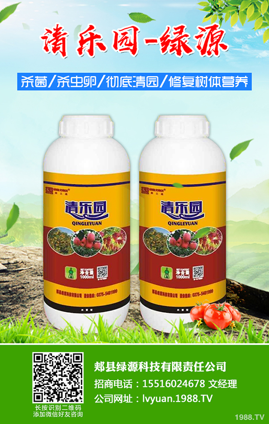 ݮʩ׷ݮ׷ʩ÷ע헣