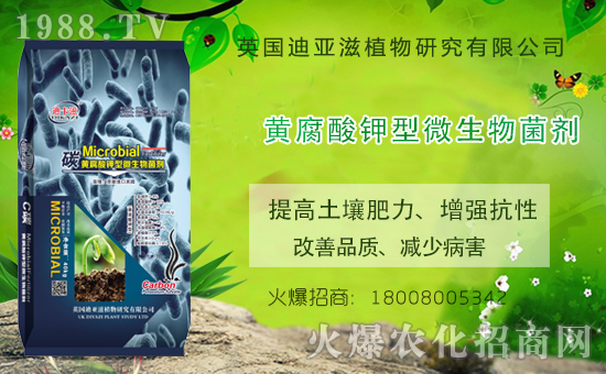 農(nóng)化網(wǎng)喜迎新盟友,英國迪亞滋攜手1988.TV,開拓網(wǎng)絡(luò)招商新渠道!