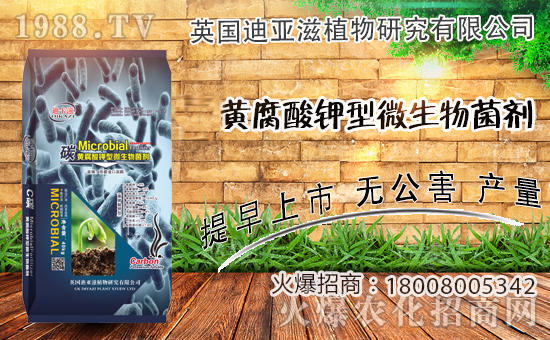 農(nóng)化網(wǎng)喜迎新盟友,英國迪亞滋攜手1988.TV,開拓網(wǎng)絡(luò)招商新渠道!