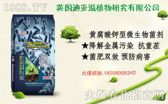 農(nóng)化網(wǎng)喜迎新盟友,英國迪亞滋攜手1988.TV,開拓網(wǎng)絡(luò)招商新渠道!