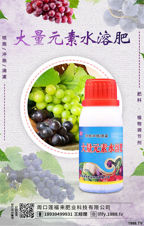 冬小麥播種后出苗不齊是怎么回事?小麥出苗不好預防措施!