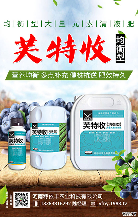 _ܷNֲϺԓעʲô_ϷNֲϺע