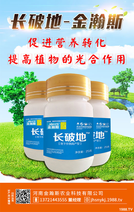 十月份蔬菜該怎么管理?2019年10月蔬菜種植管理指南