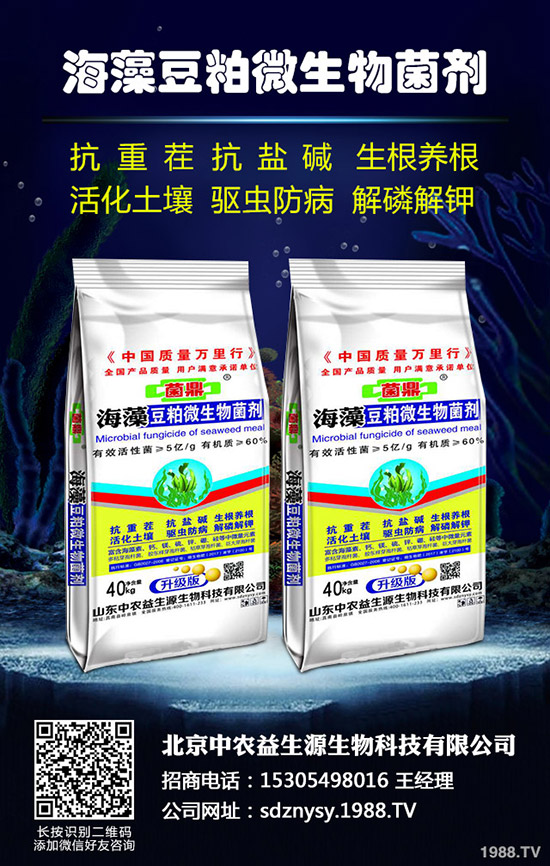 今日國內(nèi)最新氯化鉀市場價格快訊2019-10-5