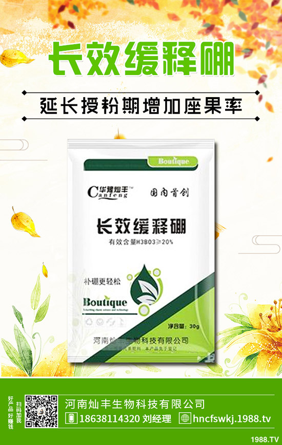 Xݺ~XʲôͬXݺ~Xݵą^(q)eЩ