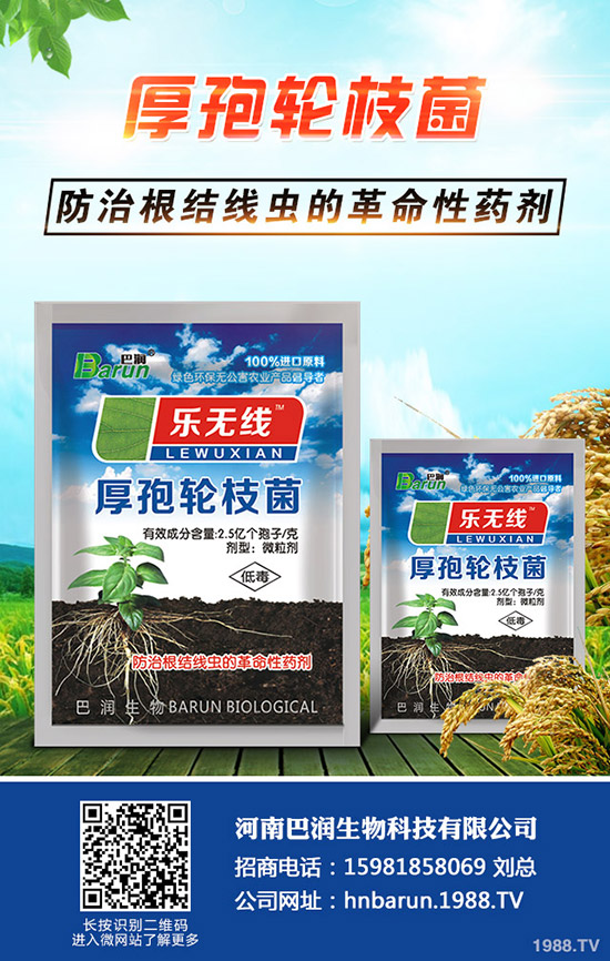 ÷ôB(yng)÷B(yng)ֳע헣