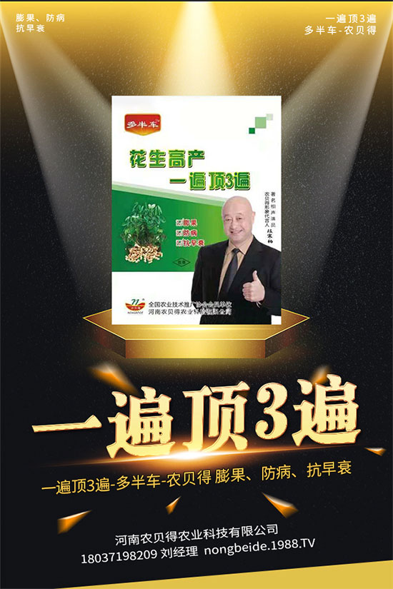 ӵĹЧcʲô ӵĠI(yng)B(yng)r(ji)ֵ