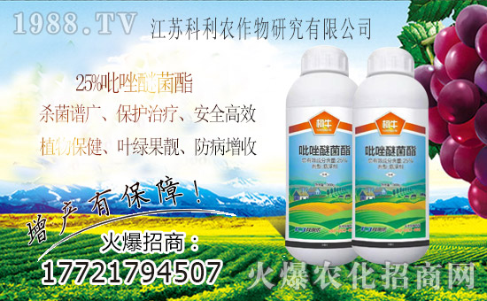 火爆農(nóng)化網(wǎng)喜迎新盟友,攜手科利共走財富之路!