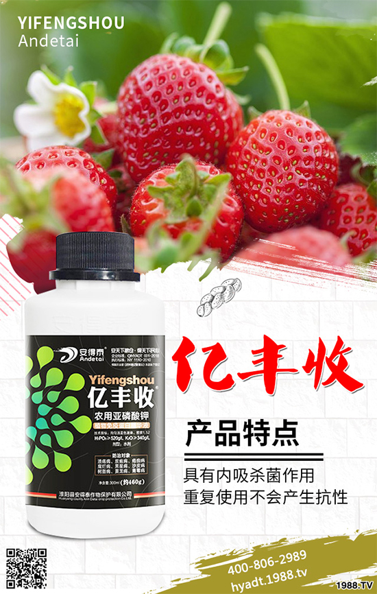 ʩʮa(chn)[߮a(chn)ʩʷ