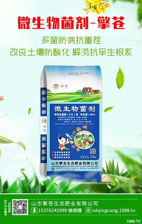 尿素價(jià)格連續(xù)下跌!近期尿素行情走勢分析2019-10-17