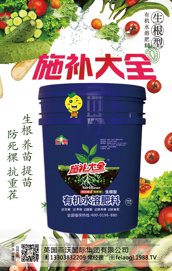 英國菲沃國際集團有限公司