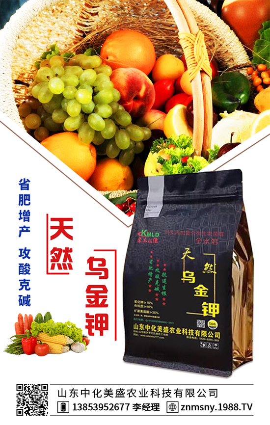 ۲˞ʲôF(xin)۲˿ĵķδʩ