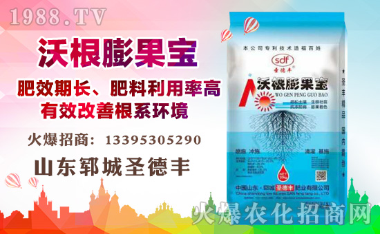     ʮ£1988.TVϲӭɽ|iʥS݁u