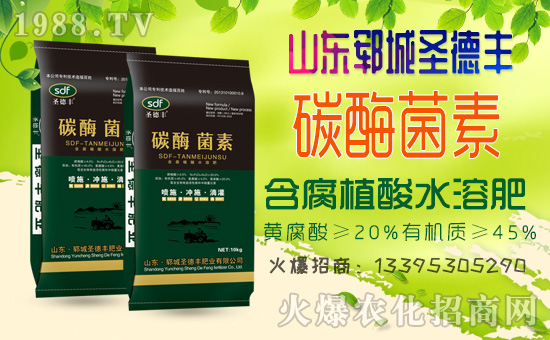     ʮ1988.TVϲӭѣɽ|iʥS݁u