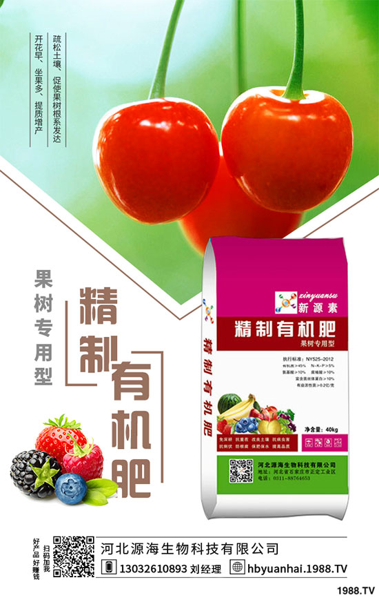 菠菜的生長(zhǎng)習(xí)性如何?如何提高菠菜的產(chǎn)量?