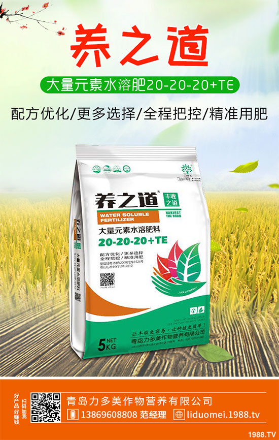 ײ˰PΣ@ôԓηײ˰Pδʩ