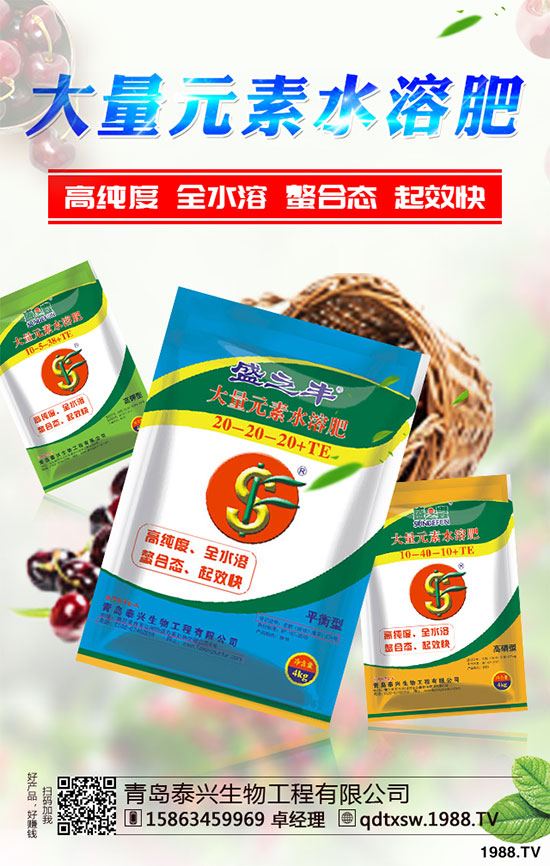 白菜根腐病有哪些危害癥狀?該如何防治?白菜根腫病的識別與防治!