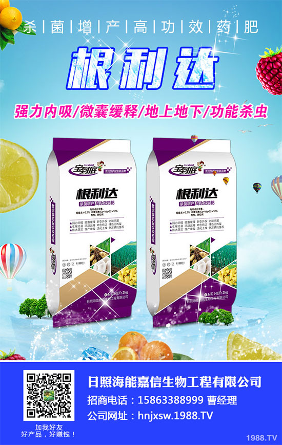 白菜根腐病有哪些危害癥狀?該如何防治?白菜根腫病的識別與防治!