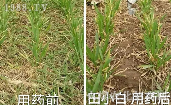 (ji)(ji)ηʲôˎôˎЧã