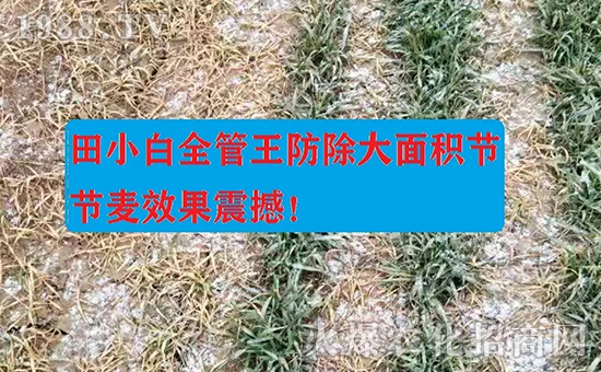 (ji)(ji)ηʲôˎôˎЧ