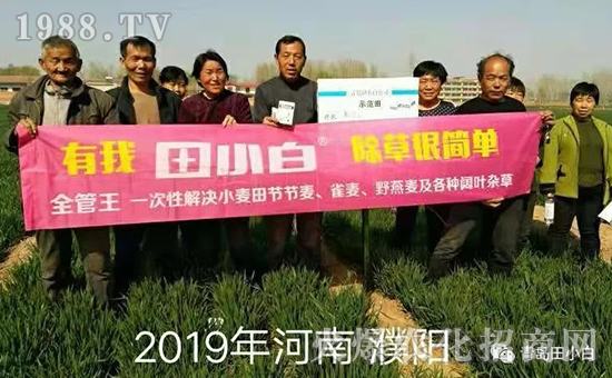 39(ji)(ji)ηʲôˎôˎЧ