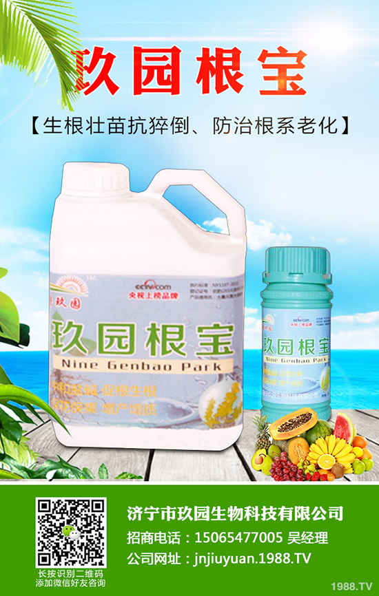 xηxΣl(f)Ҏ(gu)