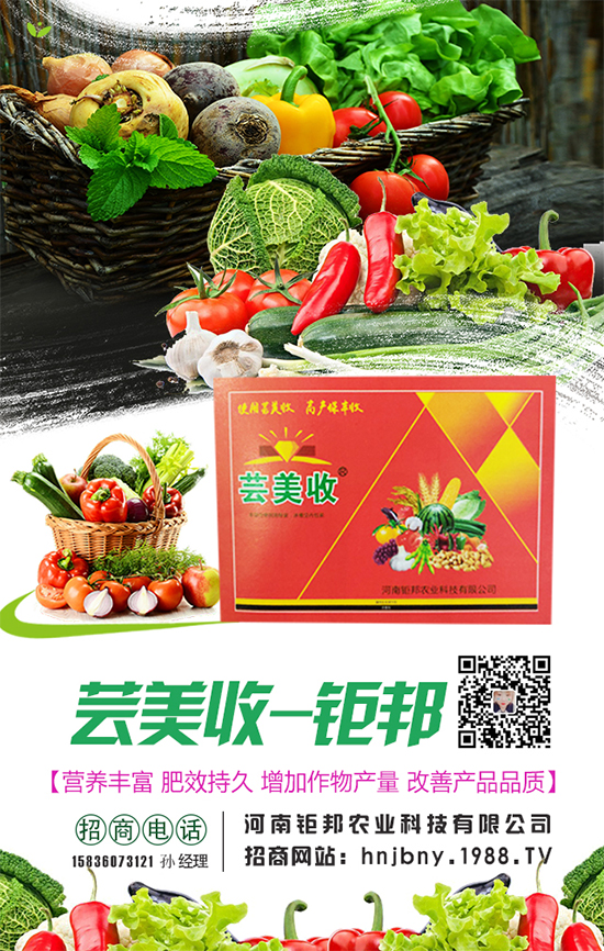 }L(zhng)(du)h(hun)lҪ}ôʩʣ