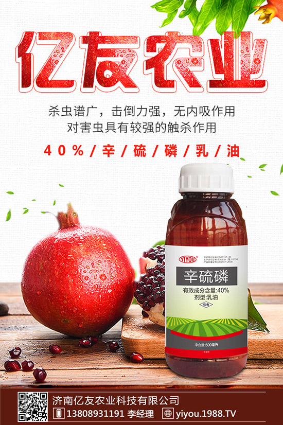 D÷NôND÷NӷNֲ