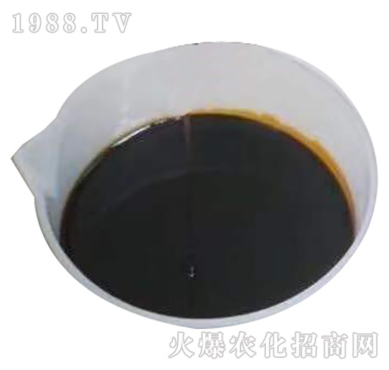 河北沃神生物成功簽約1988.TV,攜手共創(chuàng)新戰(zhàn)績!