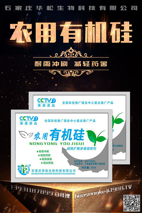 ۲˿ĵԭʲôA(y)۲˿